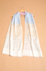 Ombre Modal Wrap - The Pashm