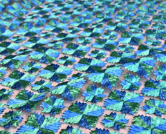 Organza Traditional Fulkari