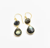 Two Stone Labradorite Earrings - The Pashm